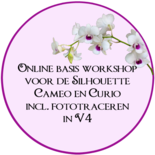 Online basis workshop V4