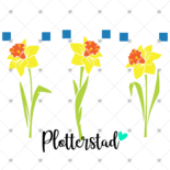 Plotterstad Narcissen