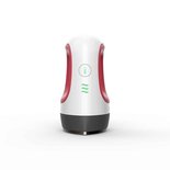 Mini Cricut Easy Press 2