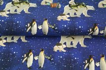 Stenzo Antartica Animals French Terry