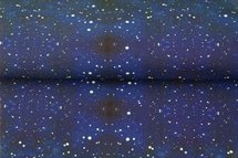 Stenzo Antartica Universe French Terry