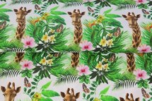 Stenzo Tricot Giraffe In The Jungle White