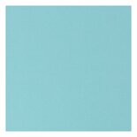 12" Florence Canvas Cardstock