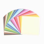 12" Florence Canvas Cardstock