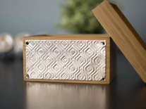 Silhouette curio stippling & etching tool