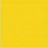 487 Paint yellow