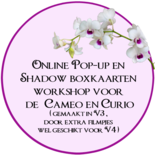 Online Workshop pop-up kaarten en shadow-boxkaarten ontwerpen