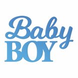 CC Baby Boy Sentiment Mini Die