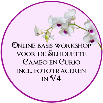 Online basis workshop V4