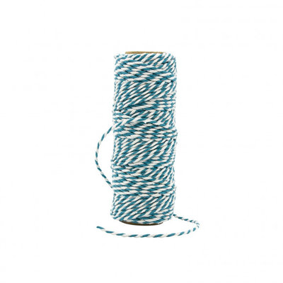 Tonic Studios bakers twine striped teal blue