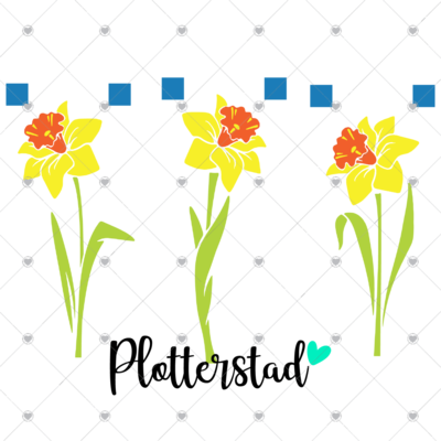 Plotterstad Narcissen