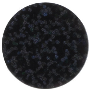 Holografisch black