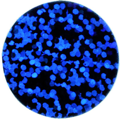 Holografisch light blue
