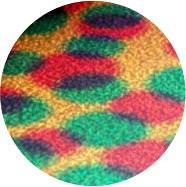 Holografisch rainbow spots