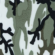 Army