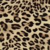 Panther