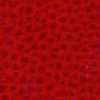 Red Leather