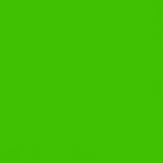 8300-061 transparant green