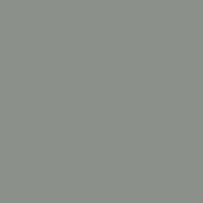 8300-074 transparant middle grey