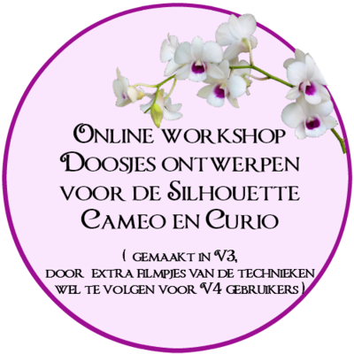 Online workshop doosjes ontwerpen voor de Silhouette Cameo & Curio.